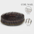 Hot Selling Coil Nails with Plain Shank From China